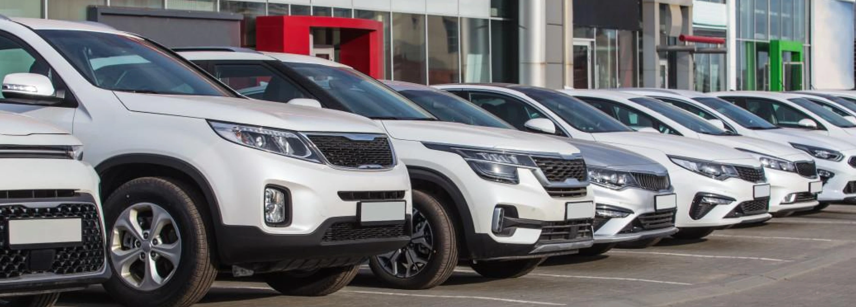 Cars lined up for sale